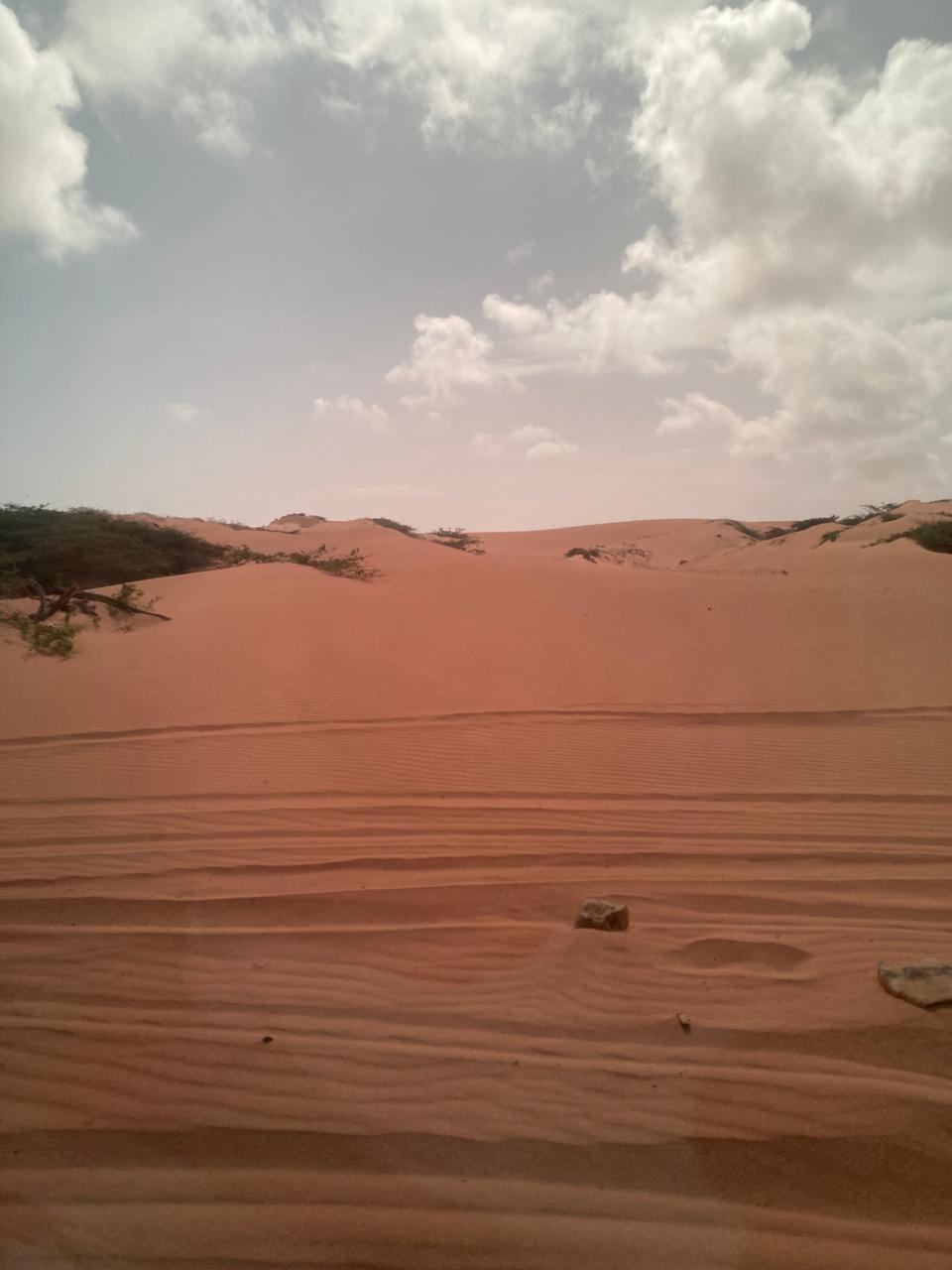 Excursión Alta Guajira Julio 2025