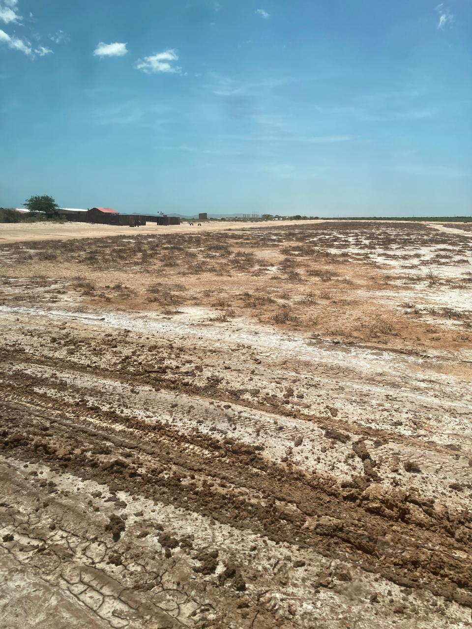 Excursión Alta Guajira Julio 2025