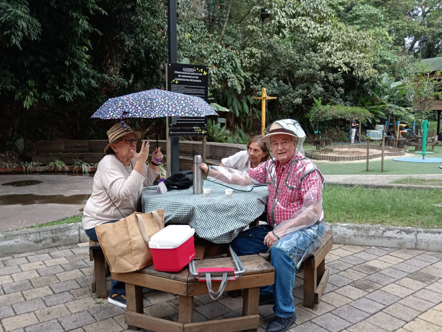 Picnic familiar cuyo objetivo es un taller reflexivo sobre el afecto y la alimentación. Lugar: Parque Gabriel Garcia Marquez. Telemedellín
. Fecha: 25 de abril de 2024. asistentes 27 personas
