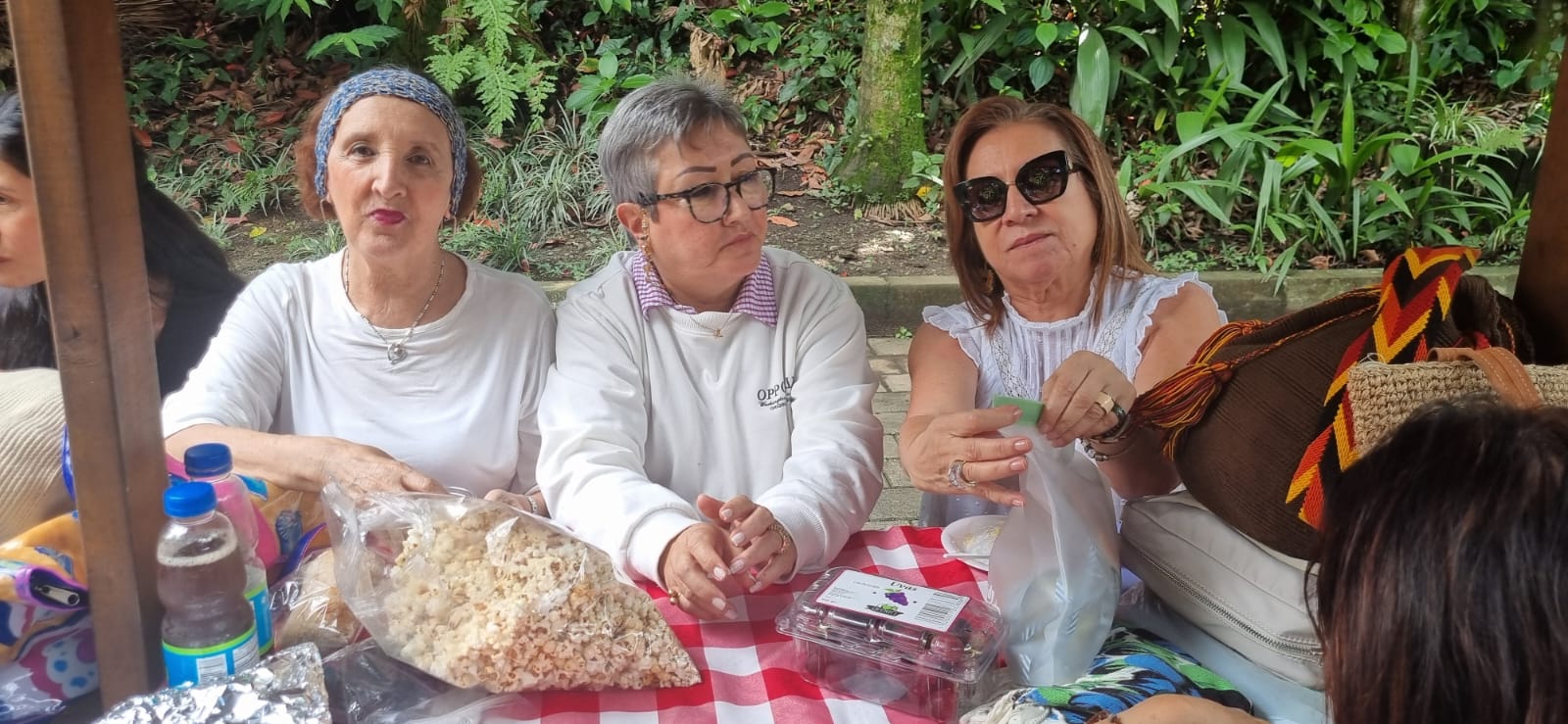  Picnic Parque Gabriel Garcia Marquez 13 febrero 2025