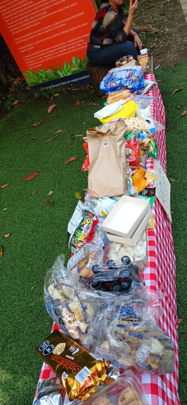  Picnic Parque Gabriel Garcia Marquez 13 febrero 2025